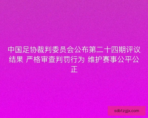中国足协裁判委员会公布第二十四期评议结果 严格审查判罚行为 维护赛事公平公正