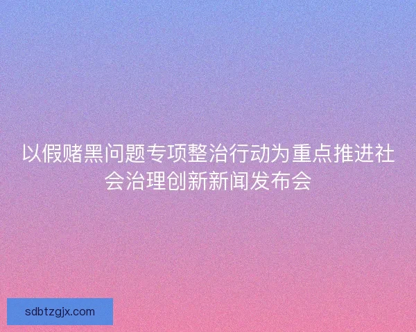 以假赌黑问题专项整治行动为重点推进社会治理创新新闻发布会