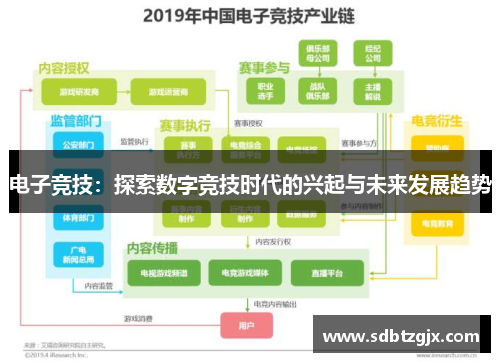 电子竞技:探索数字竞技时代的兴起与未来发展趋势