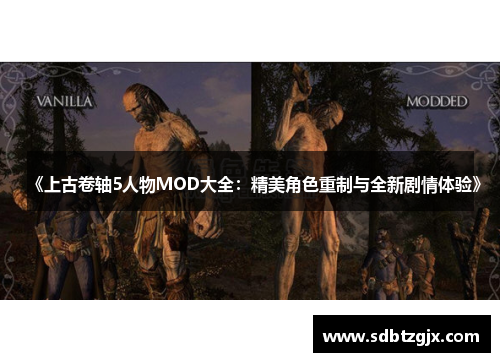 《上古卷轴5人物MOD大全：精美角色重制与全新剧情体验》